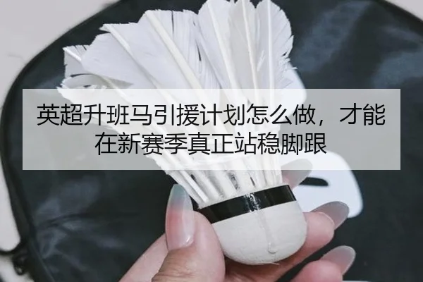 英超升班马引援计划怎么做，才能在新赛季真正站稳脚跟